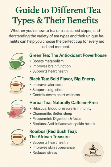 Guide to Different Tea Types & Their Benefits